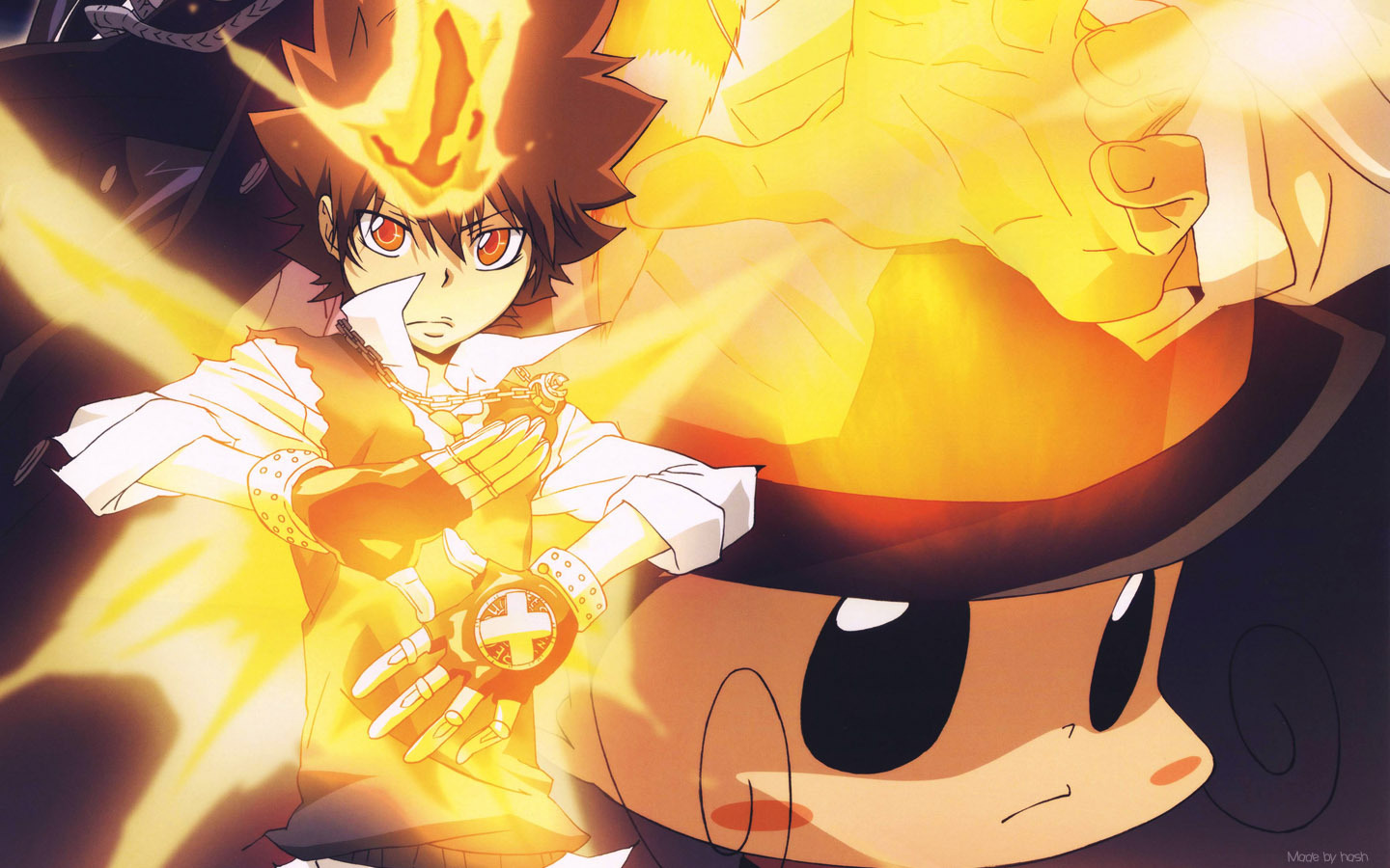 Hitman Reborn Tsunayoshi Wallpapers