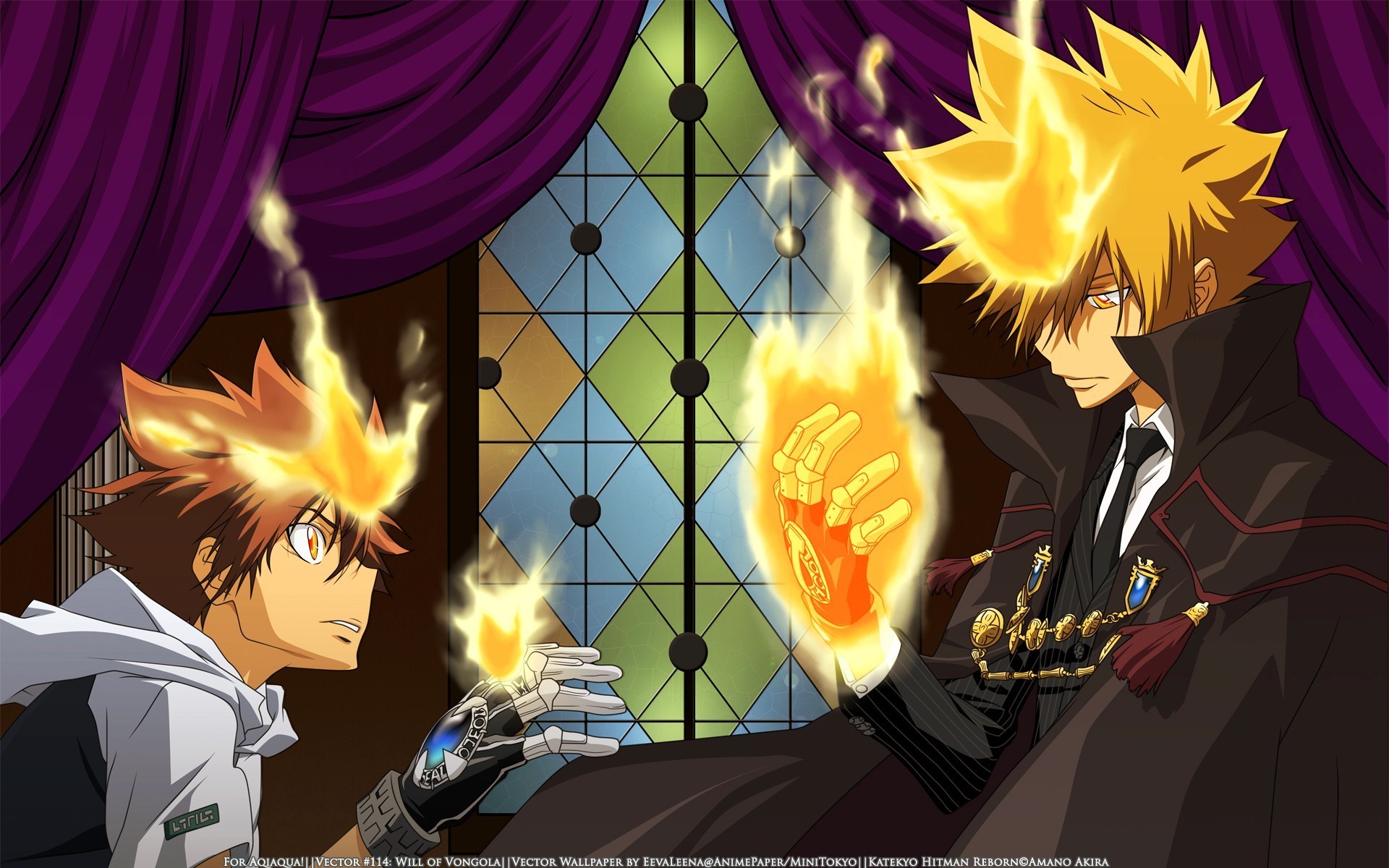 Hitman Reborn Tsunayoshi Wallpapers