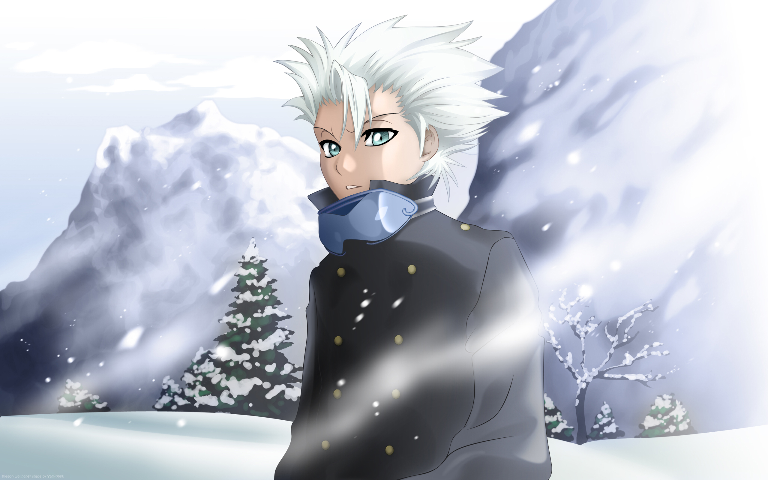 Hitsugaya Wallpapers