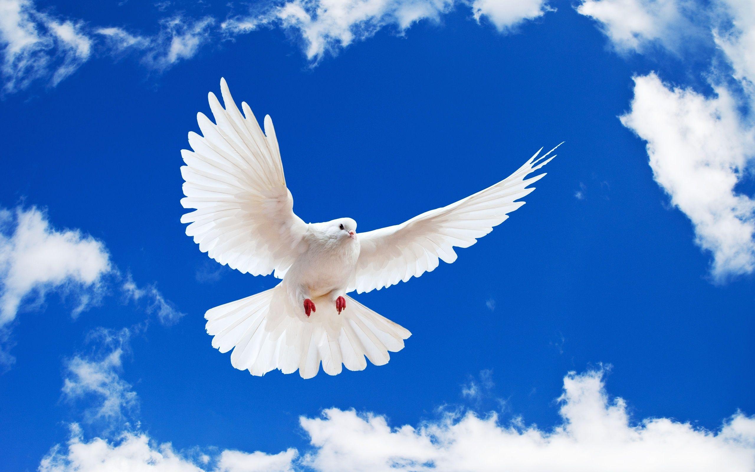 Holy Spirit Images Wallpapers