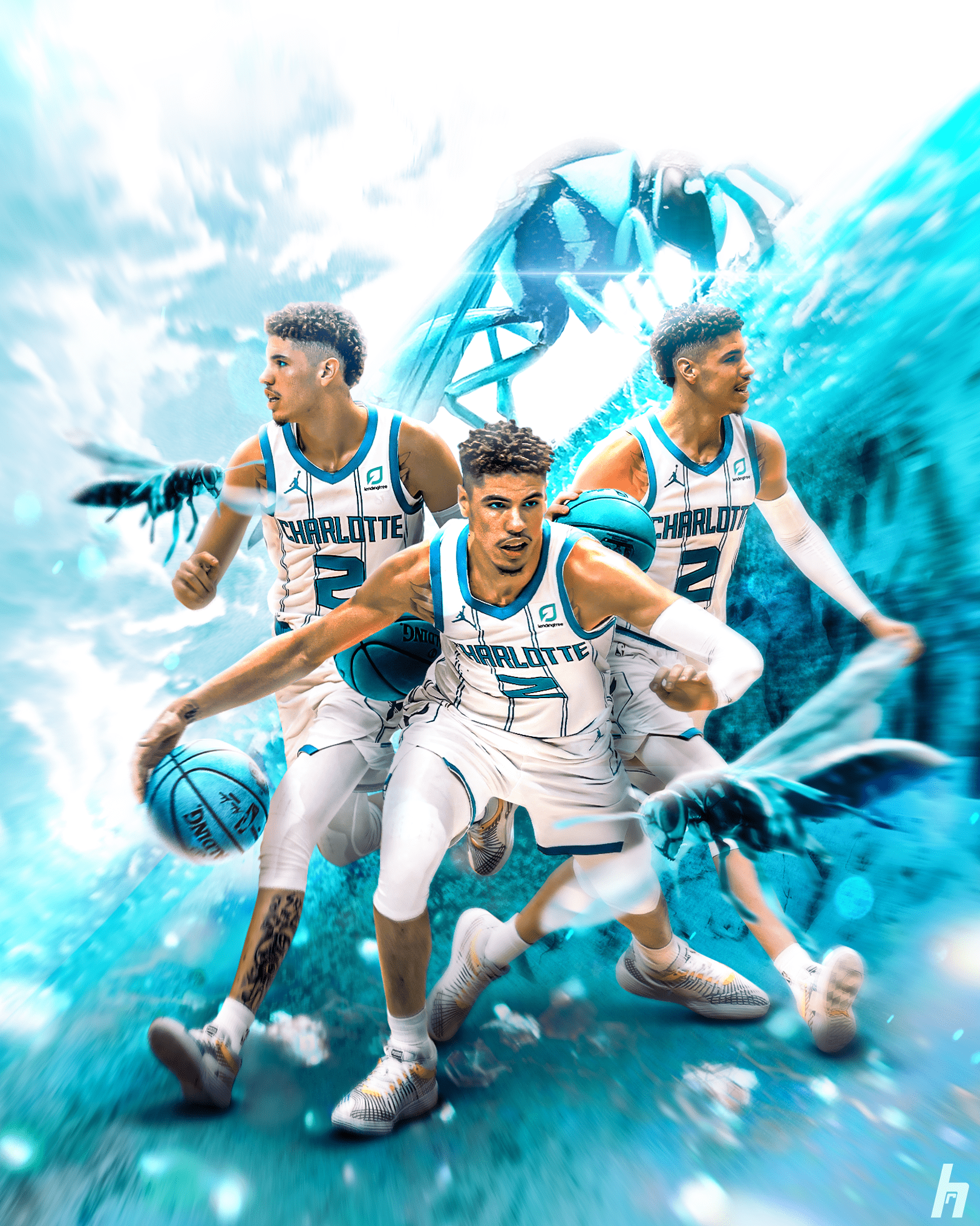 Hornets Wallpapers