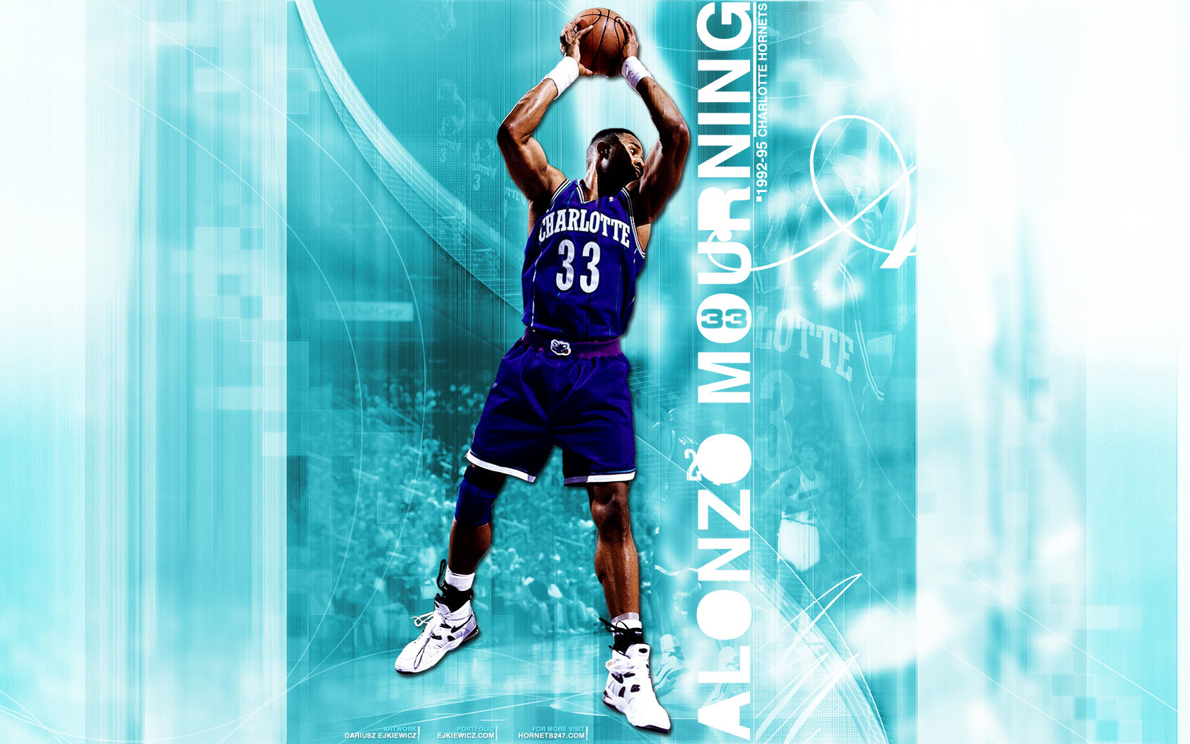 Hornets Wallpapers