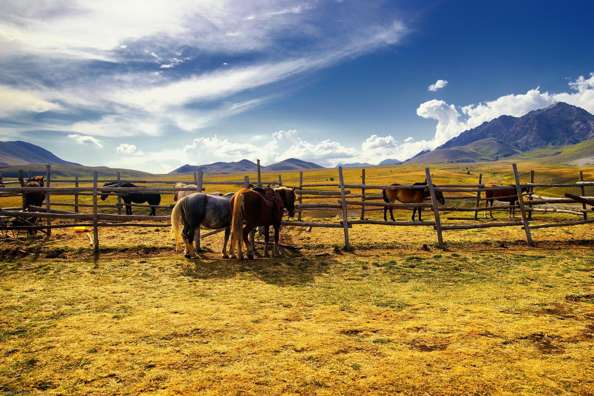 Horse Ranch Wallpapers