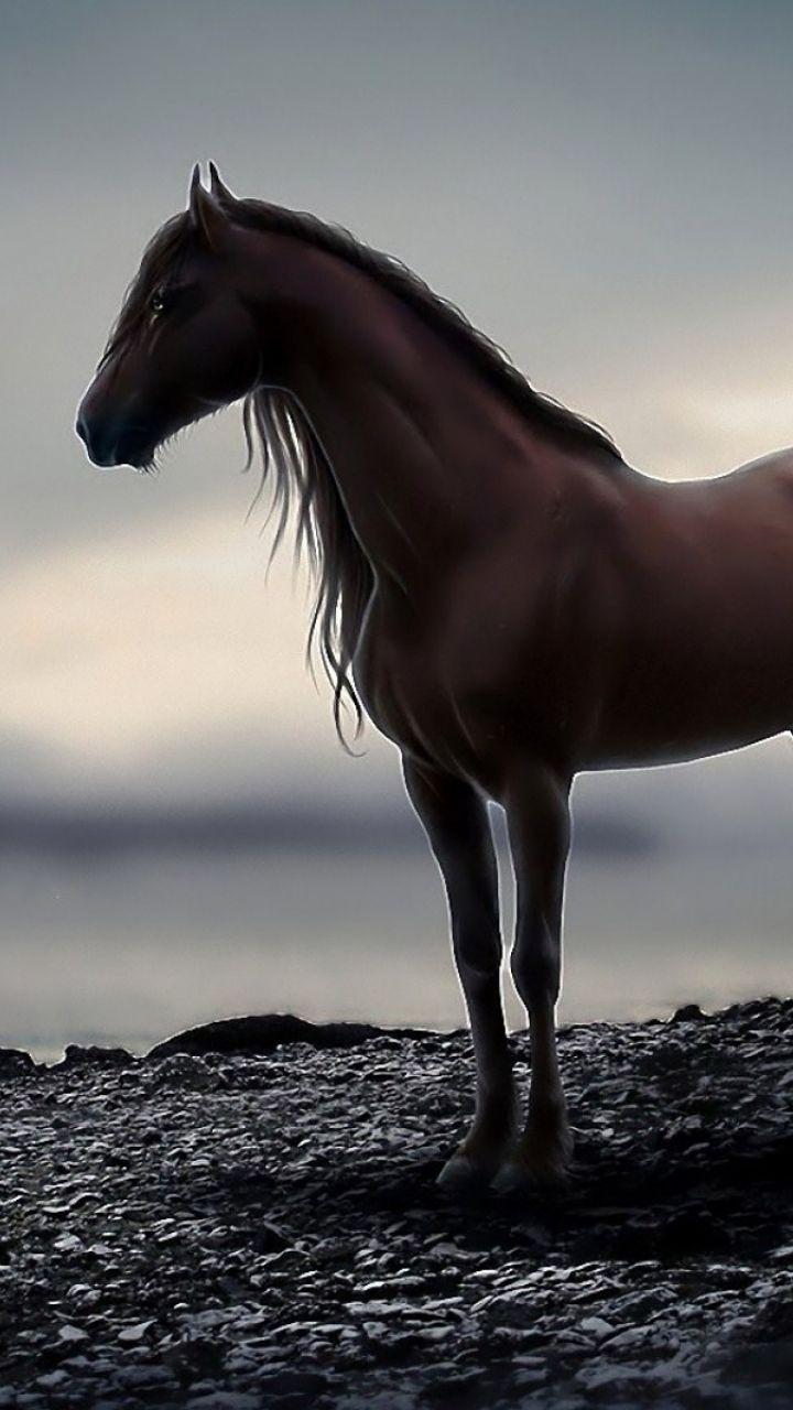 Horse For Phone Wallpapers