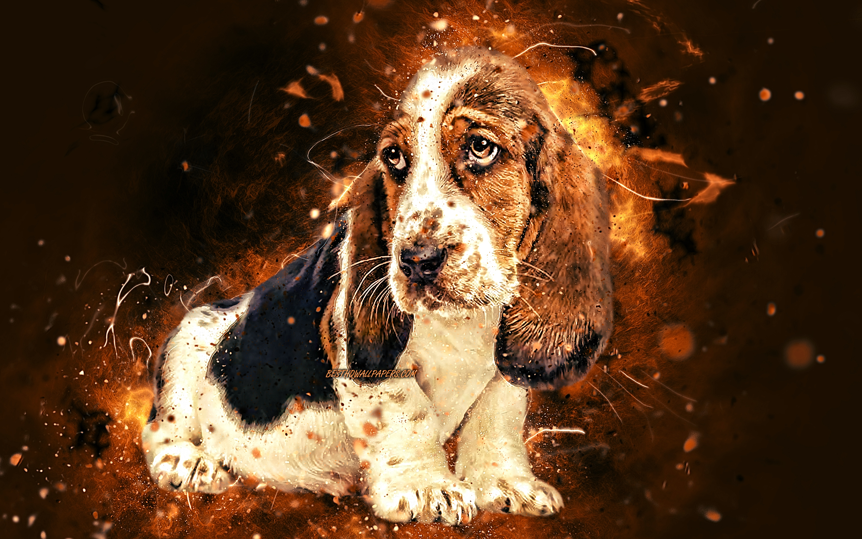 Hound Dog Wallpapers