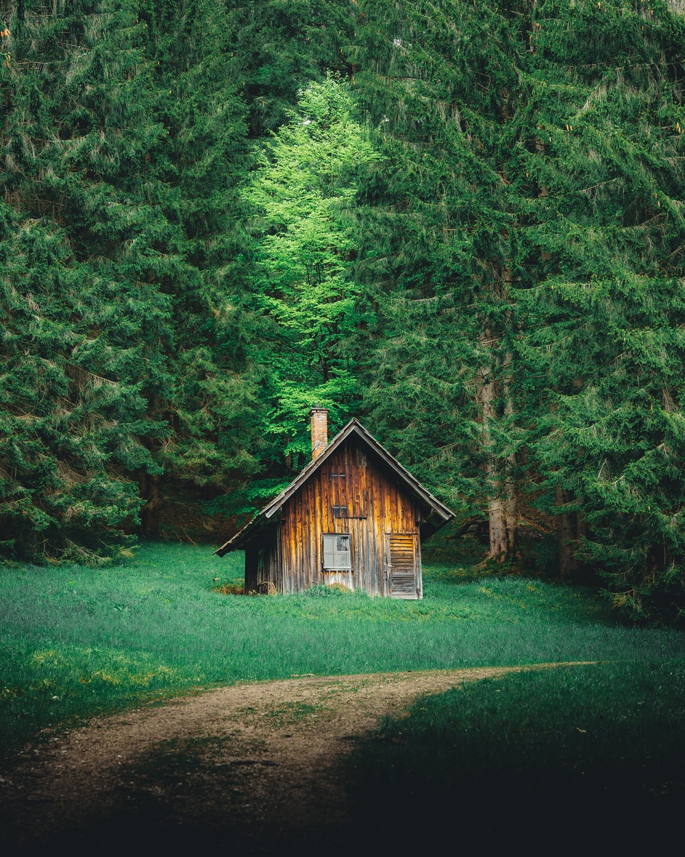 House In The Woods Wallpapers