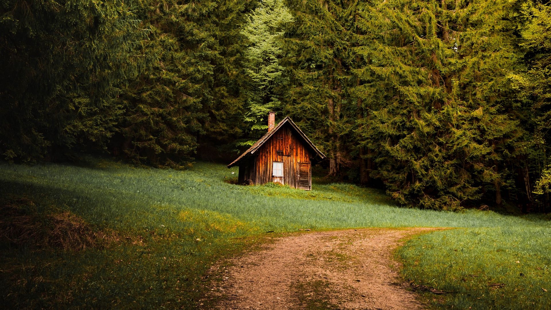 House In The Woods Wallpapers