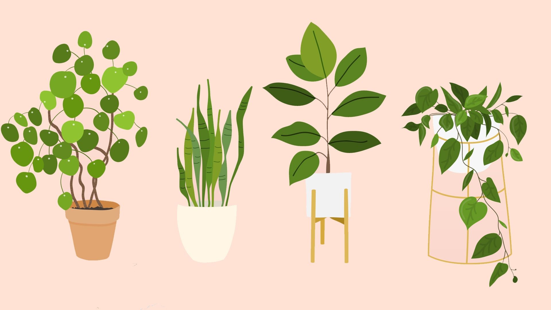 Houseplant Wallpapers