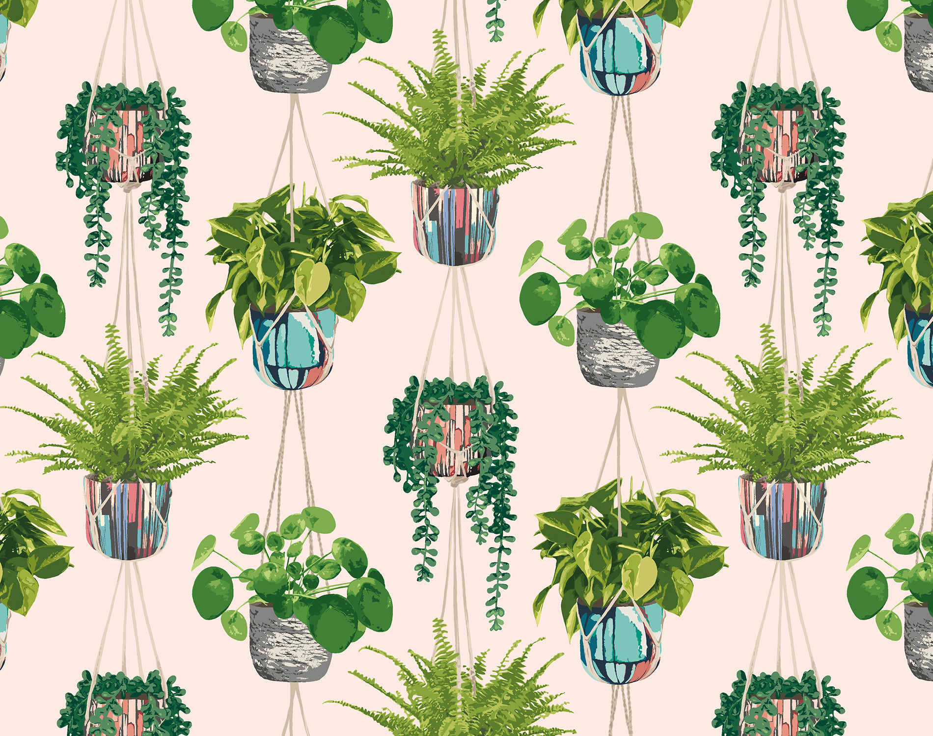 Houseplant Wallpapers