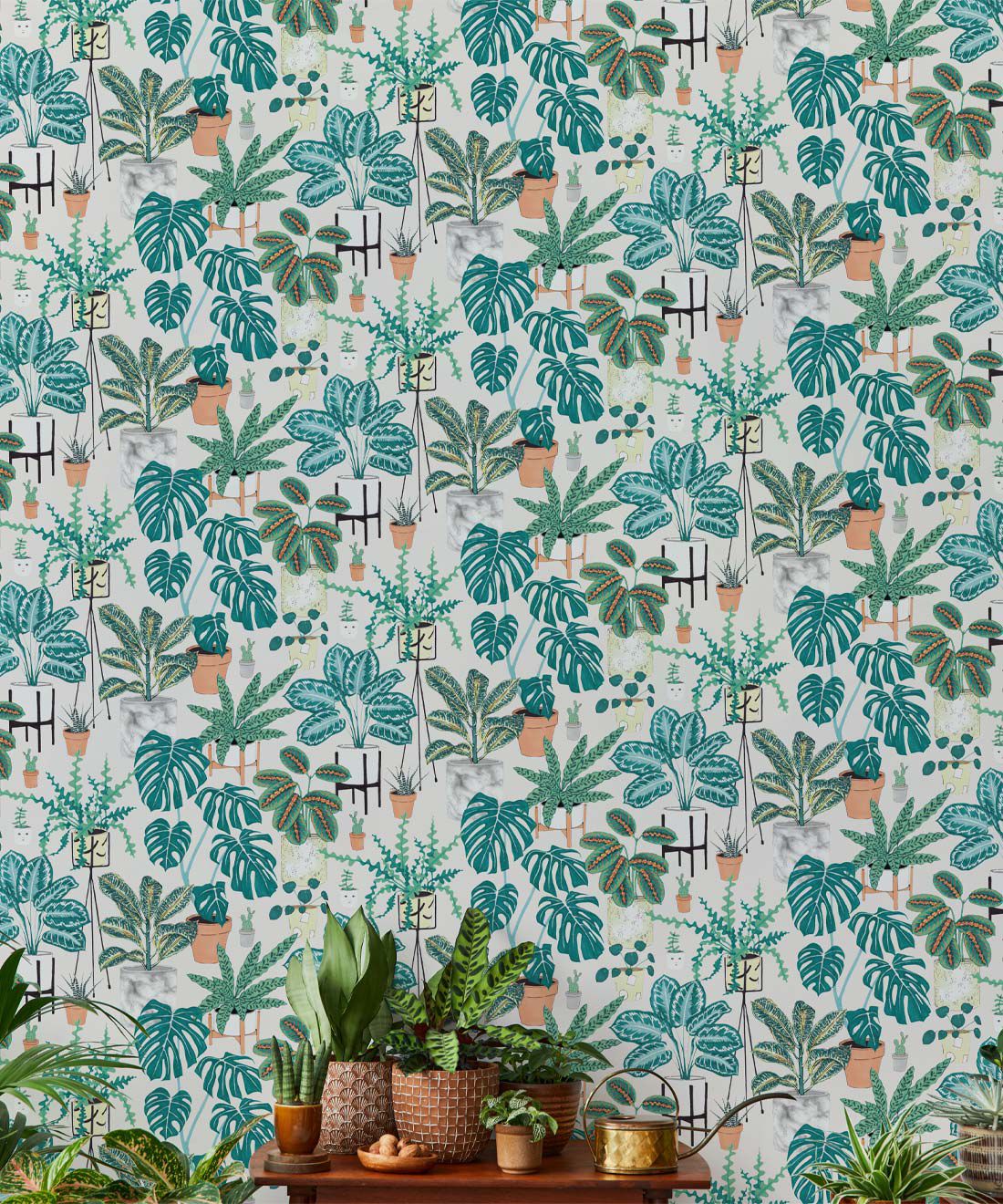 Houseplant Wallpapers