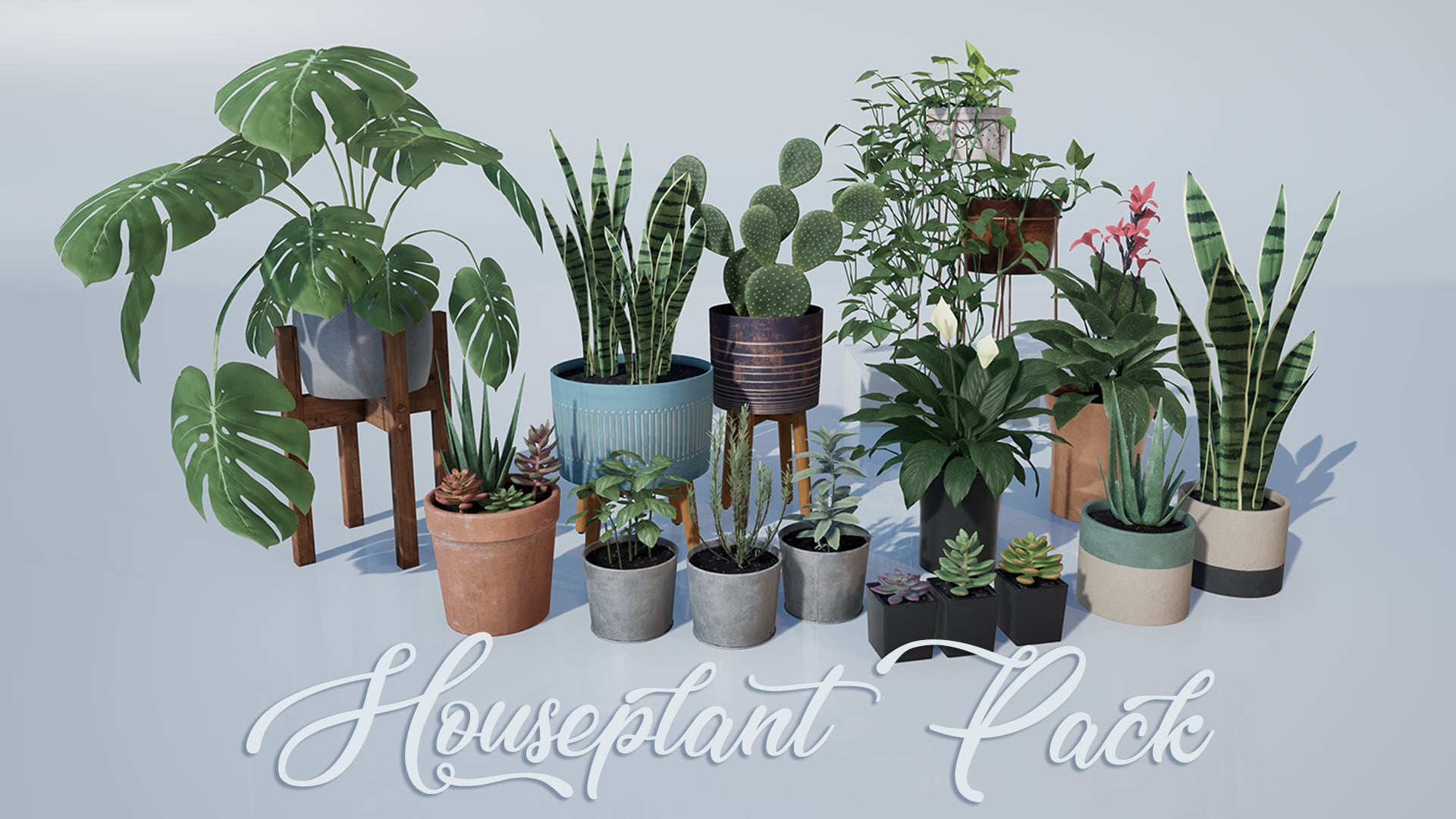 Houseplant Wallpapers