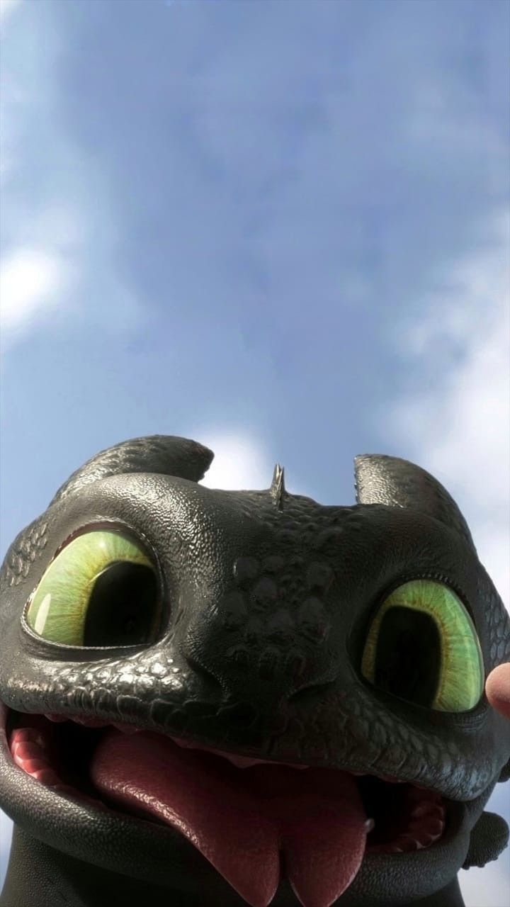 How To Train Your Dragon Iphone Wallpapers