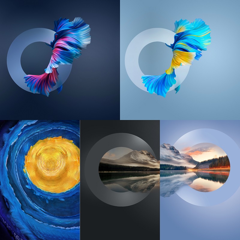 Huawei Mate 40 Pro Wallpapers