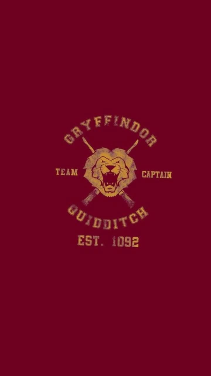 Hufflepuff Quidditch Wallpapers