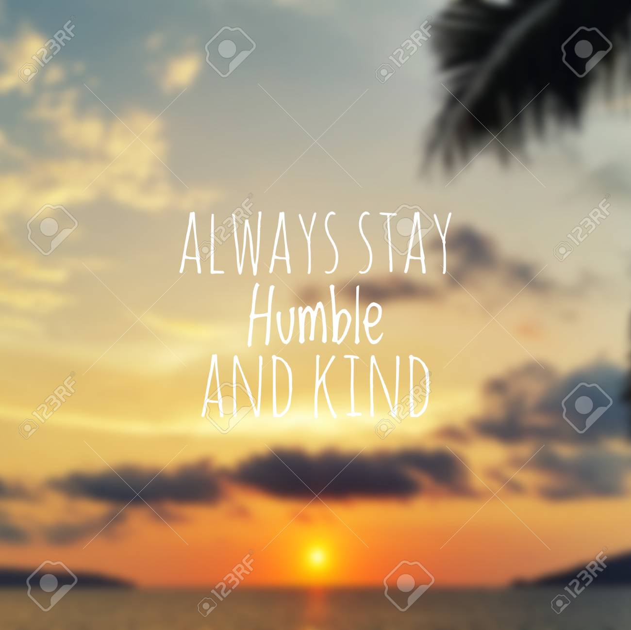 Humble Wallpapers