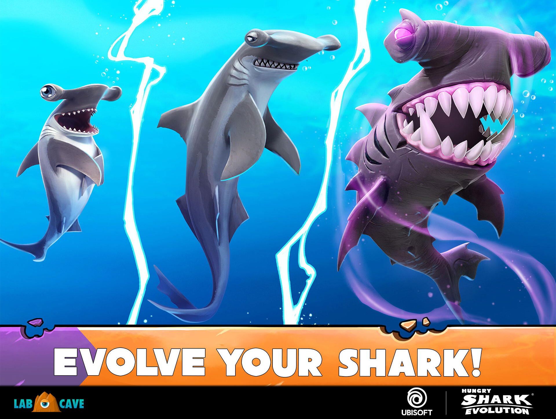 Hungry Shark Evolution Wallpapers