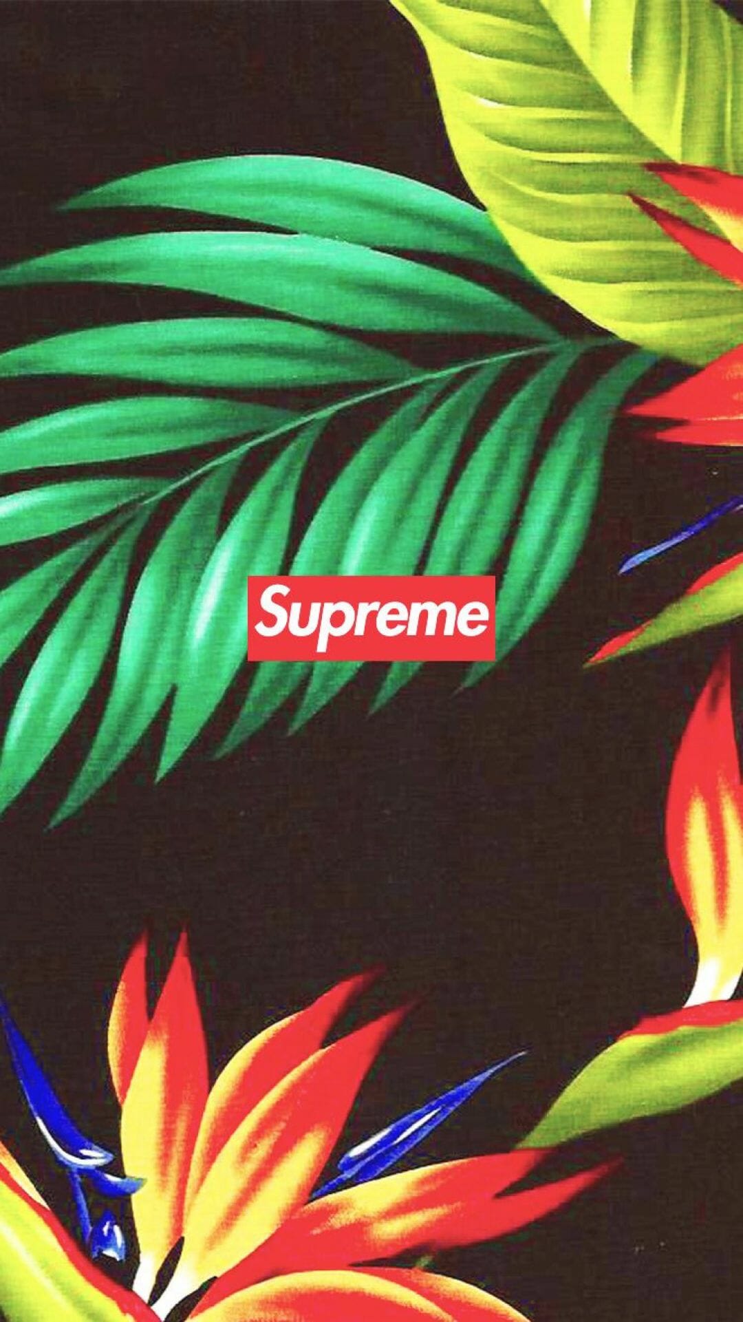 Hypebeast Desktop Wallpapers