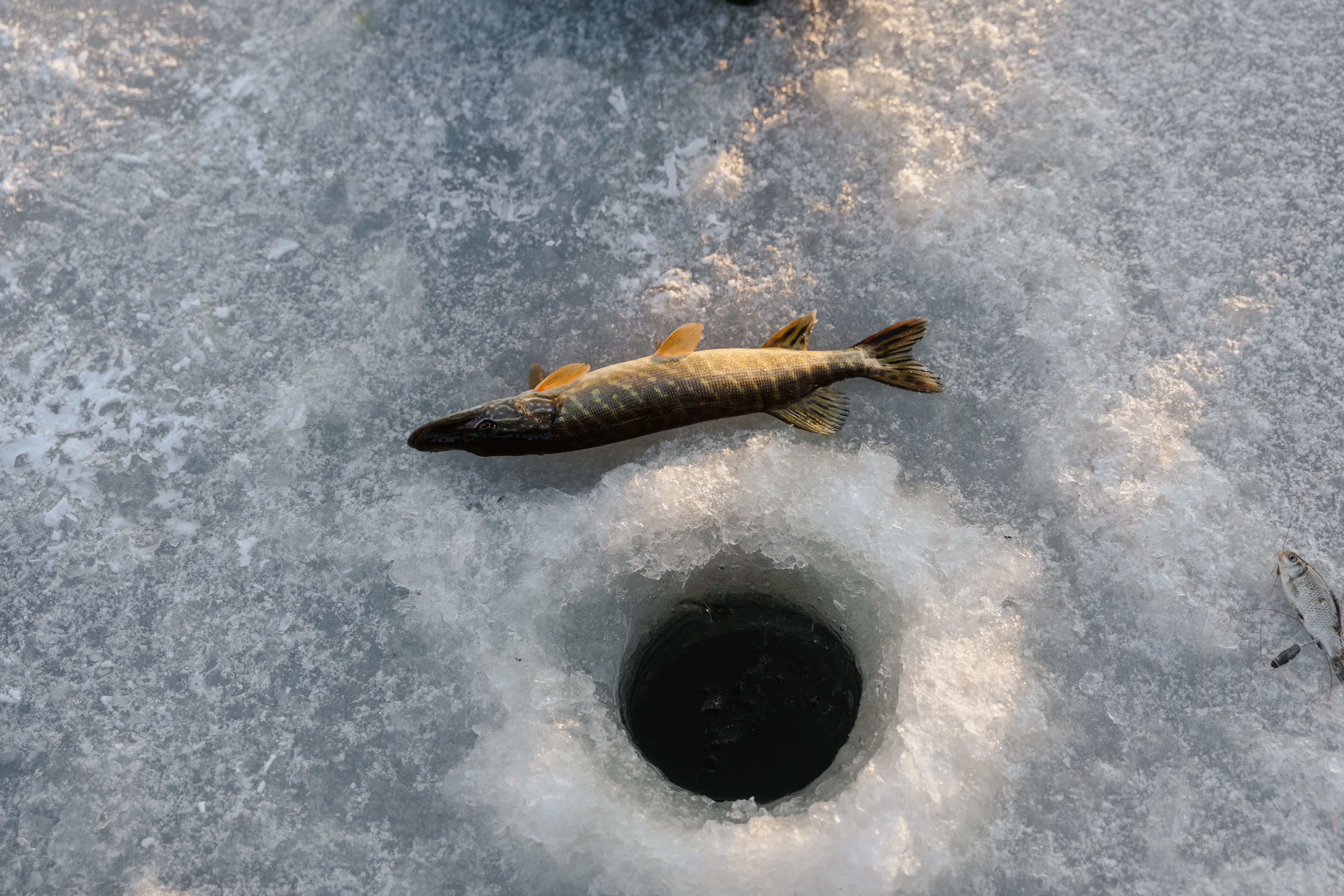 Ice Fishing Wallpapers