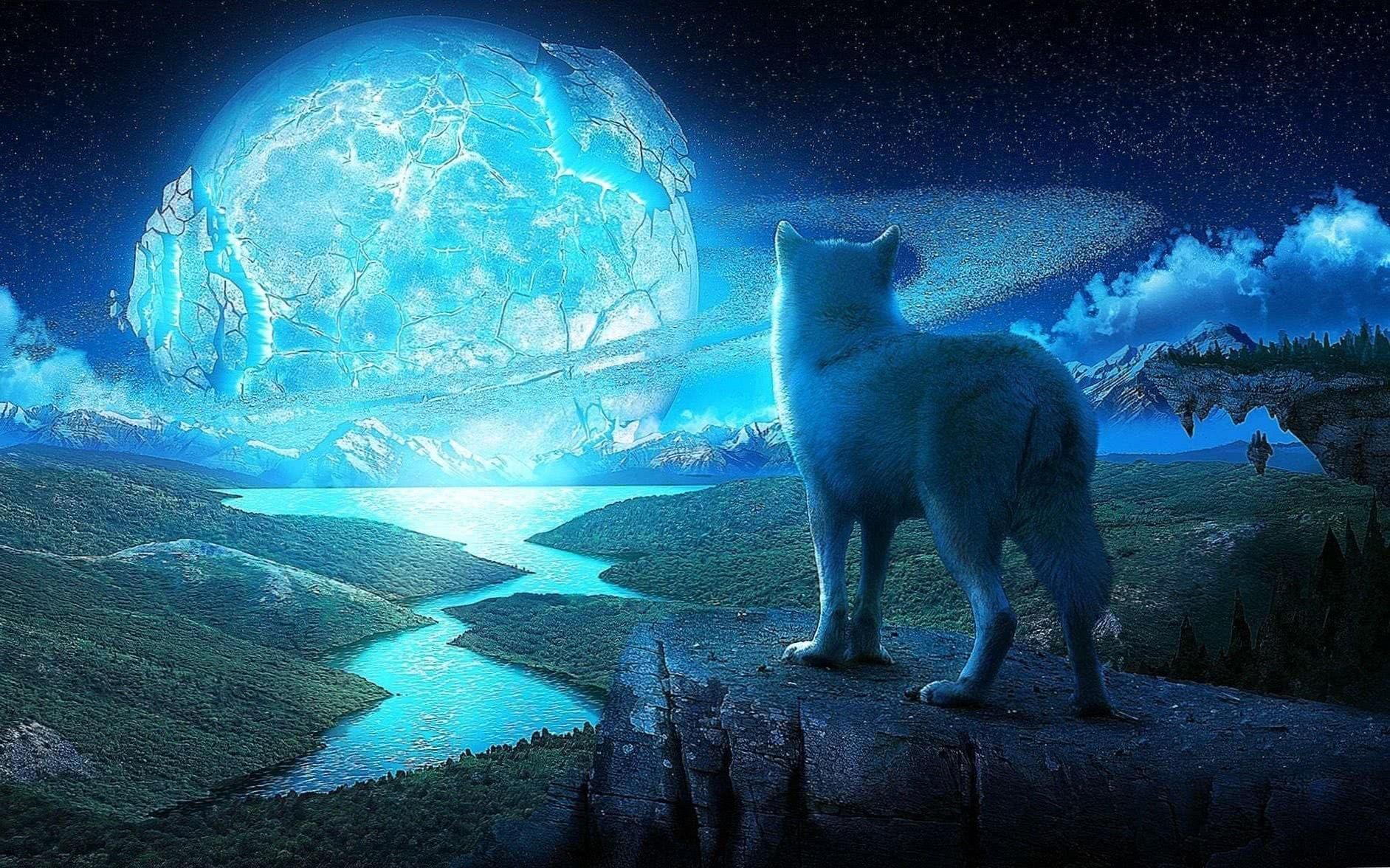 Ice Wolf Wallpapers