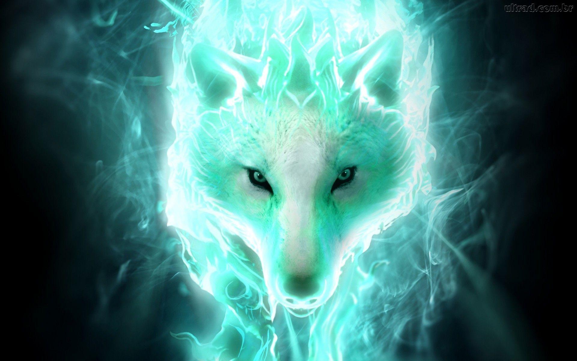 Ice Wolf Wallpapers