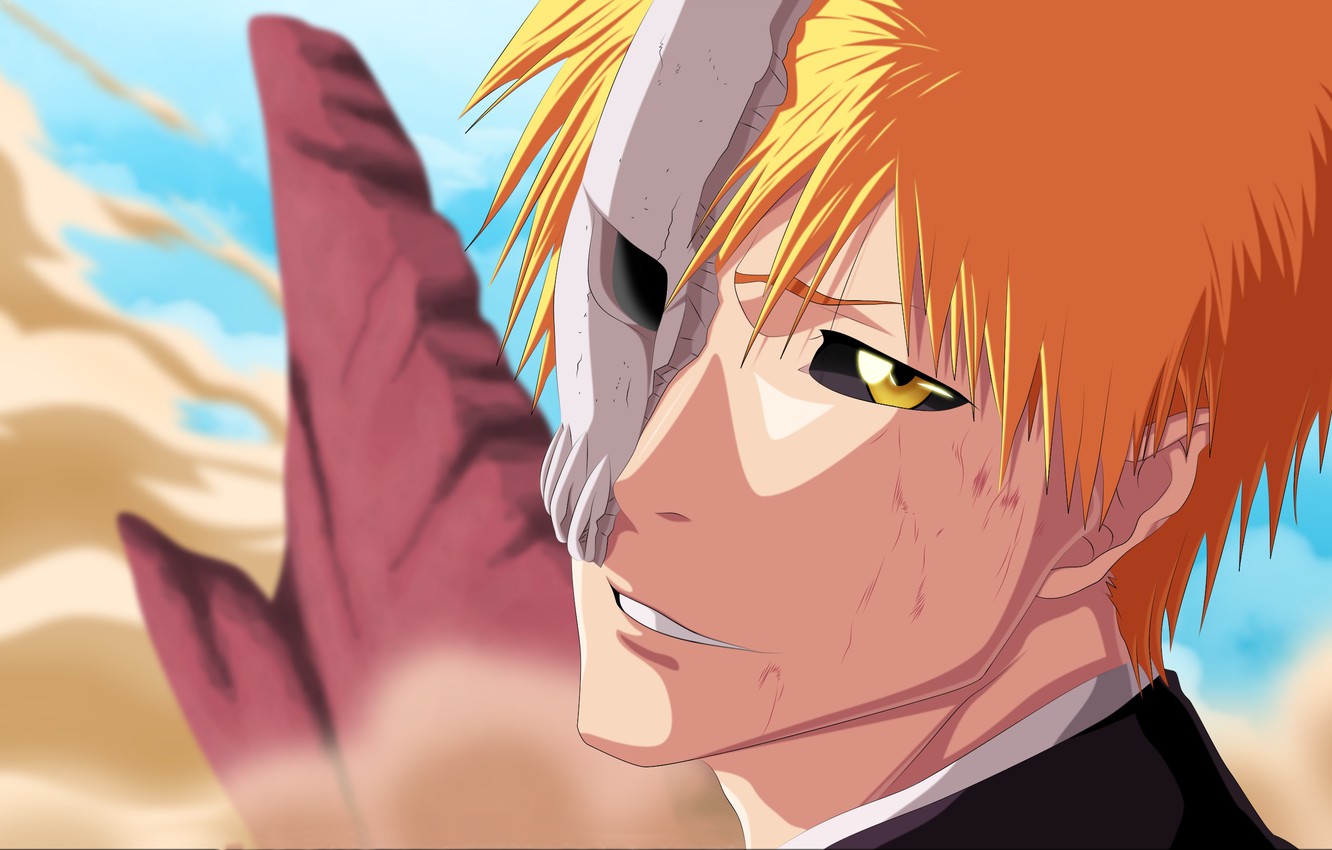 Ichigo Vs Grimmjow Wallpapers