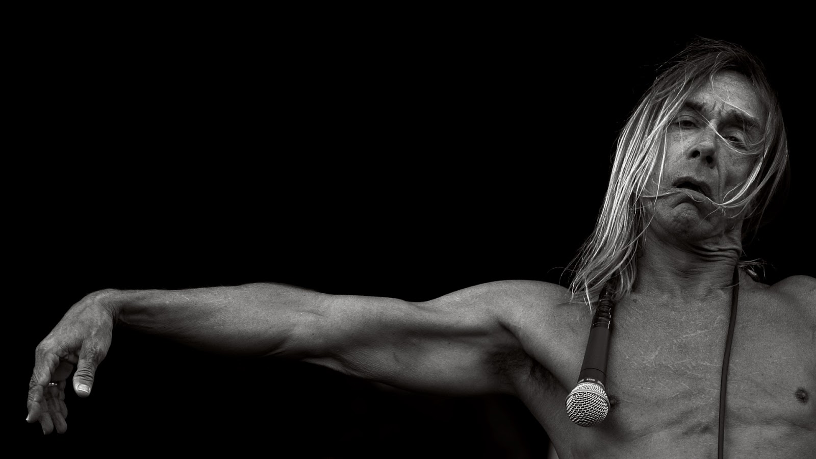Iggy Pop Images Wallpapers