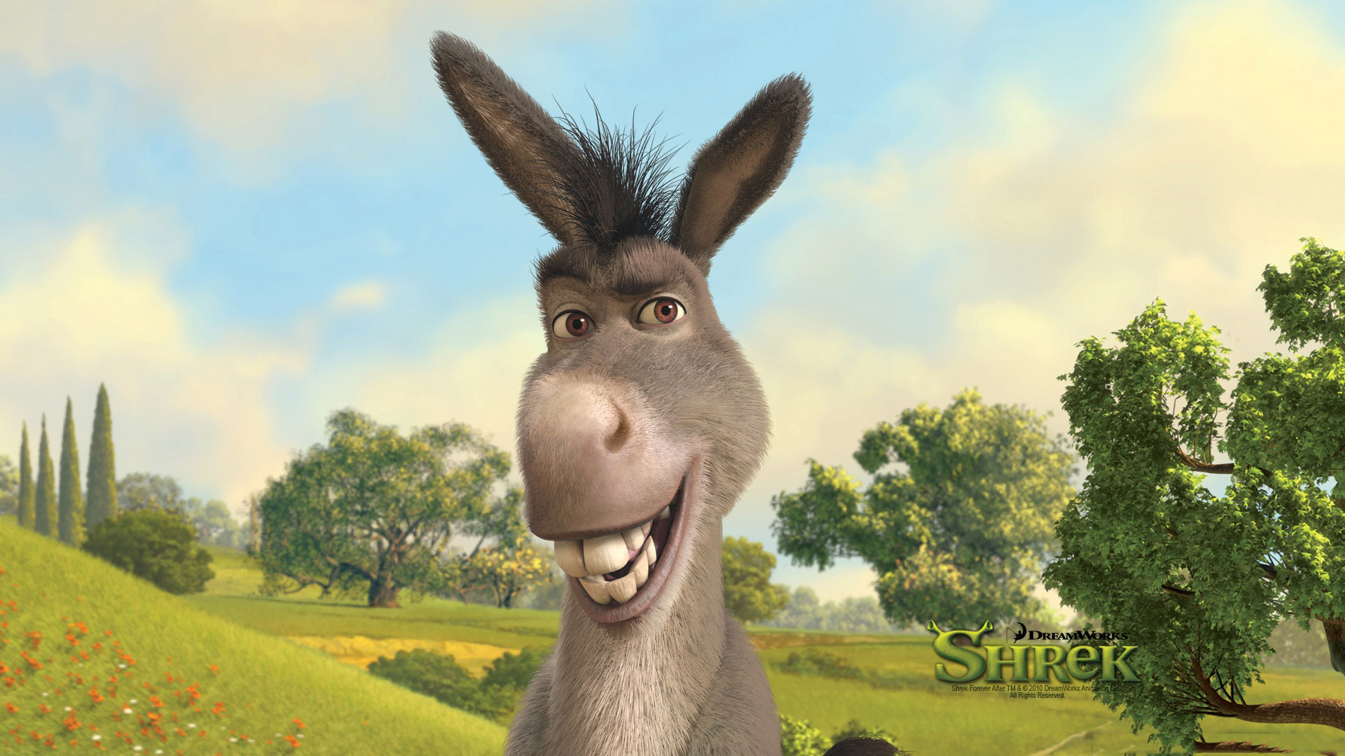 Images Of Donkey From Shrek Wallpapers