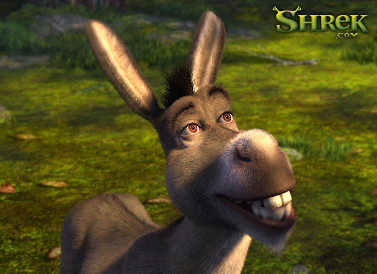 Images Of Donkey From Shrek Wallpapers