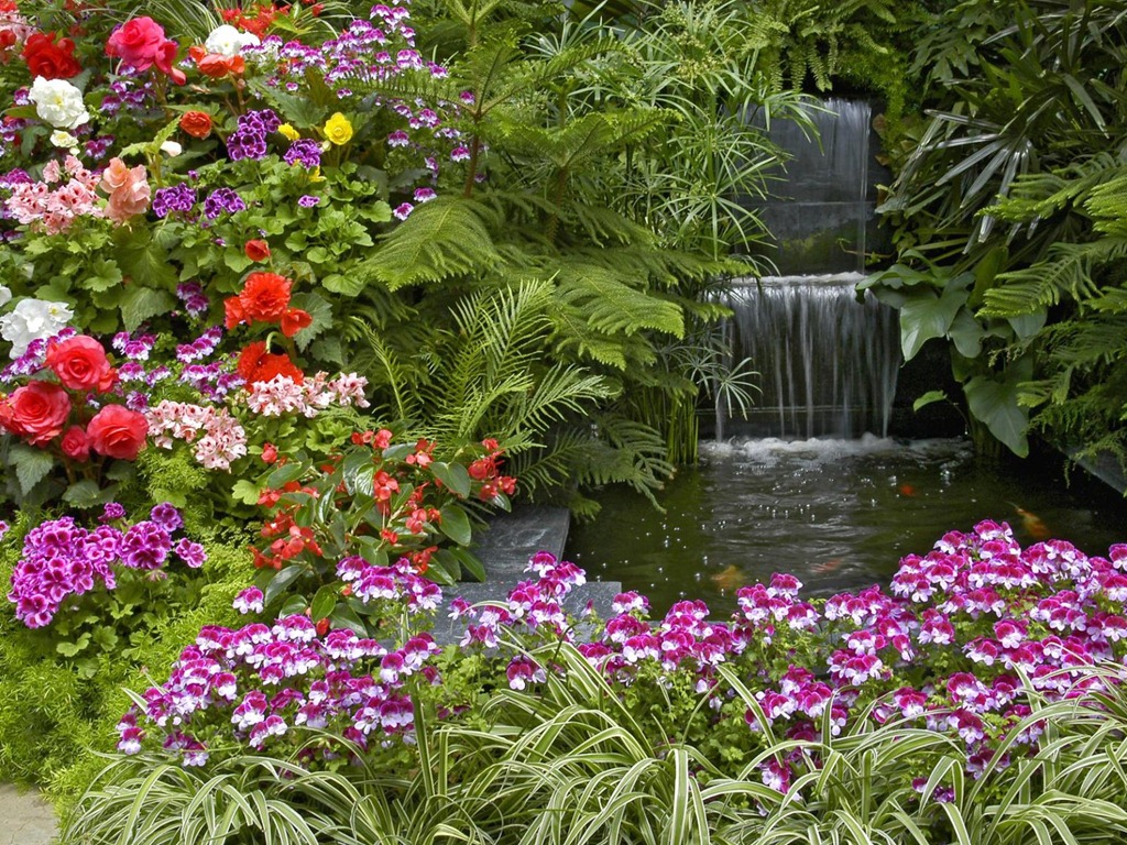 Images Of Summer Gardens Wallpapers