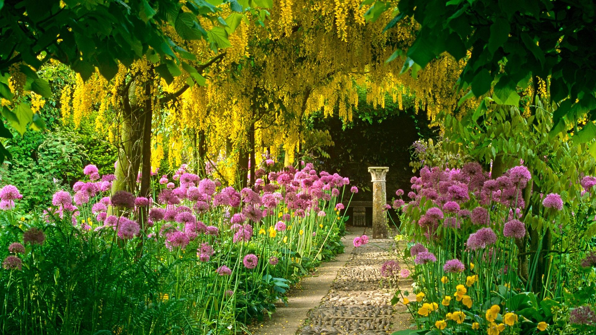 Images Of Summer Gardens Wallpapers