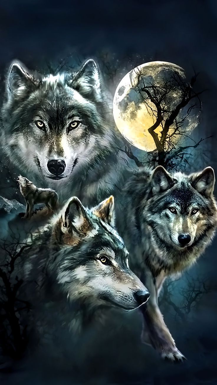 Indians And Wolves Wallpapers