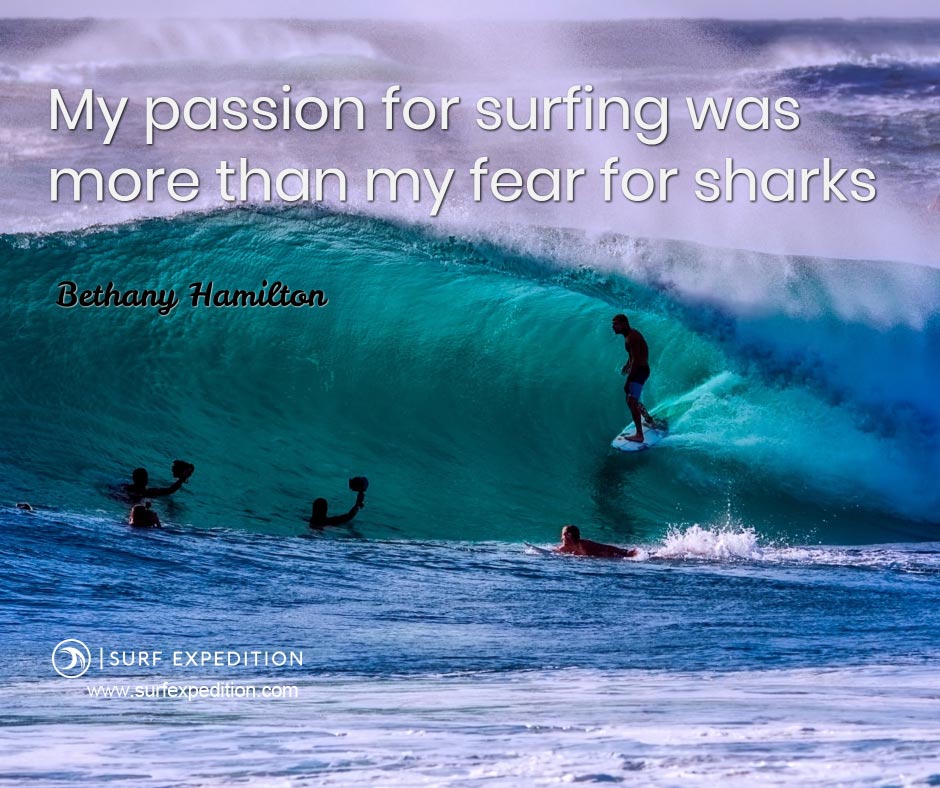 Inspiration Surf Quotes Wallpapers