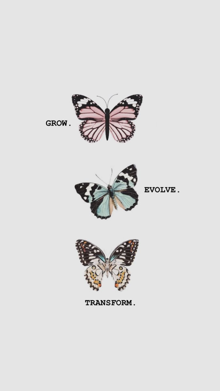 Inspirational Butterfly Quotes Wallpapers