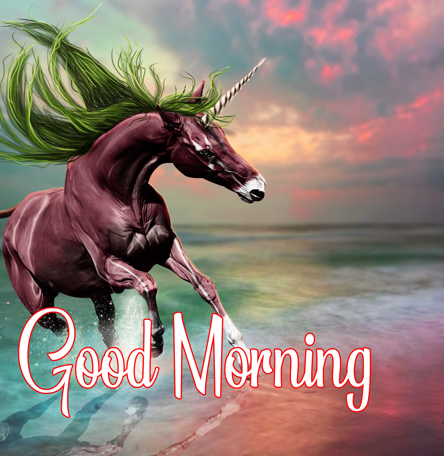 Inspirational Good Morning Horse Images Wallpapers