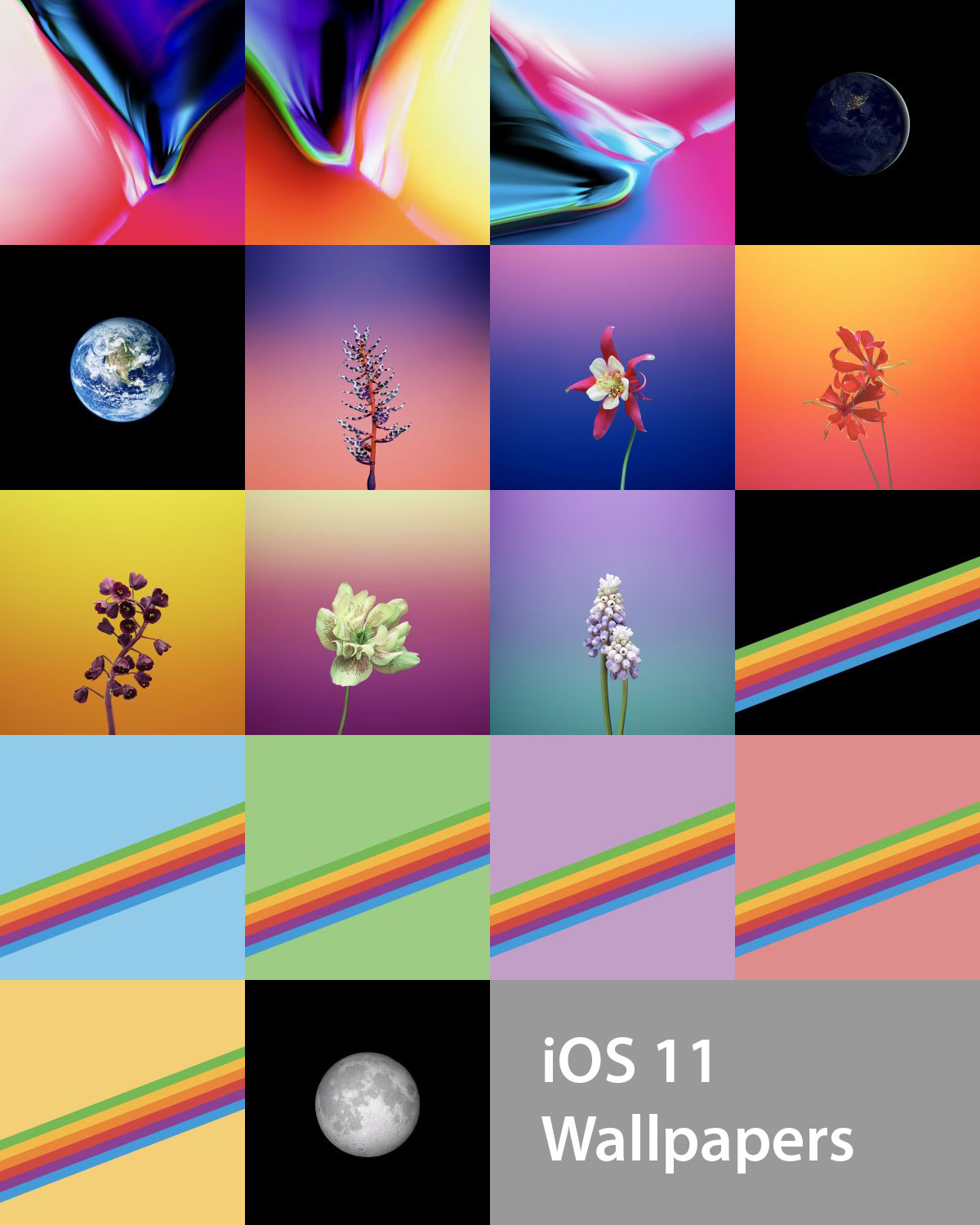 Ios Iphone 11 Wallpapers