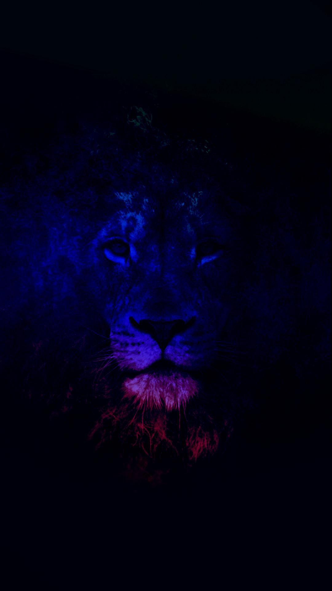 Iphone 7 Black Lion Wallpapers