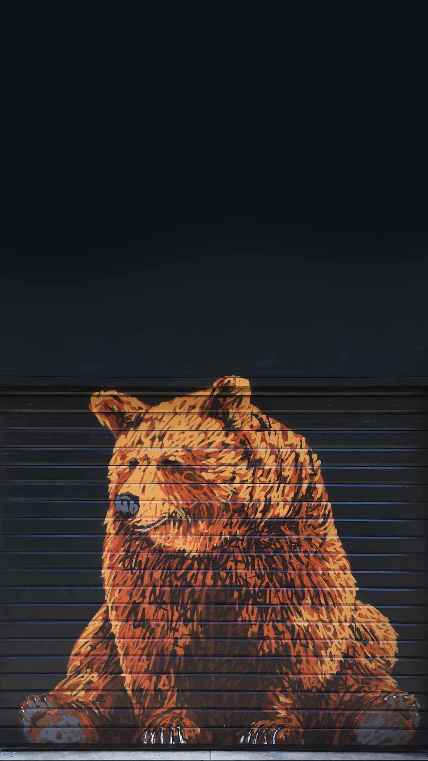 Iphone Bear Wallpapers