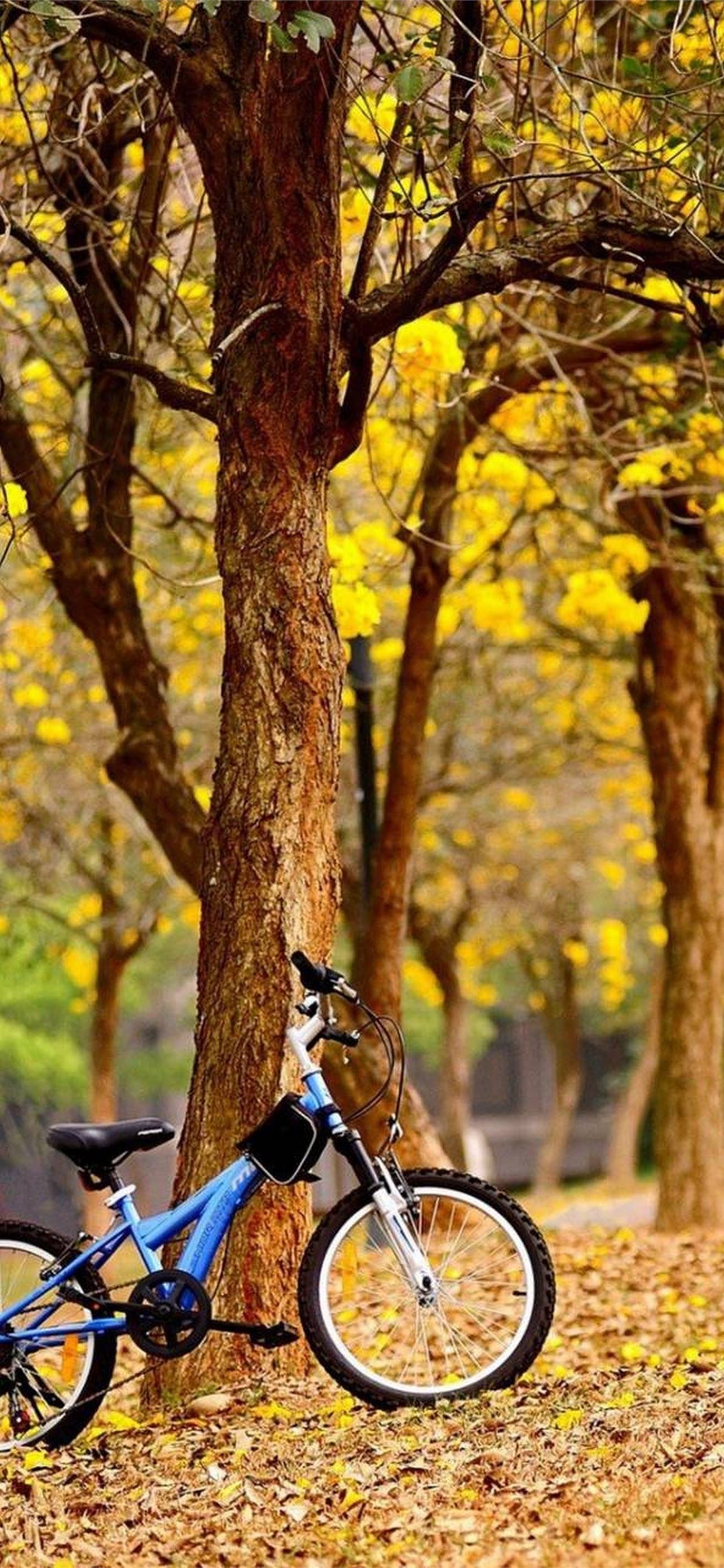 Iphone Bike Wallpapers