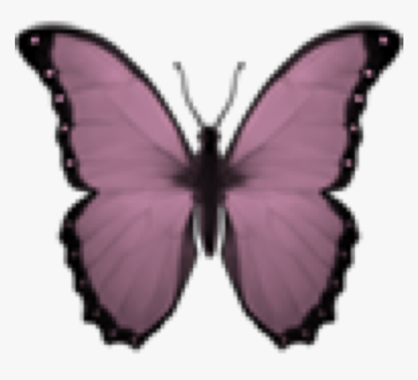 Iphone Butterfly Emoji Wallpapers