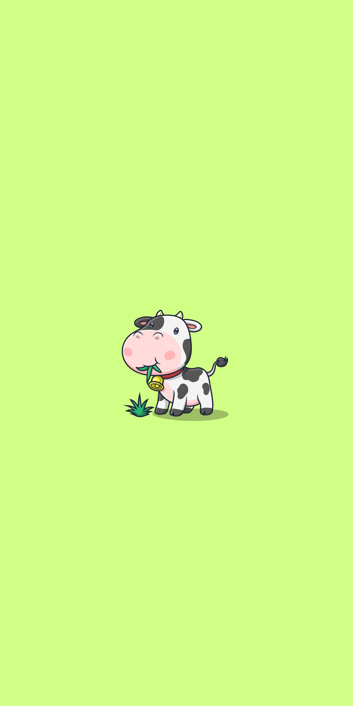 Iphone Cow Wallpapers