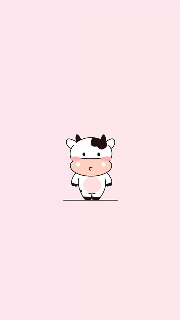 Iphone Cow Wallpapers