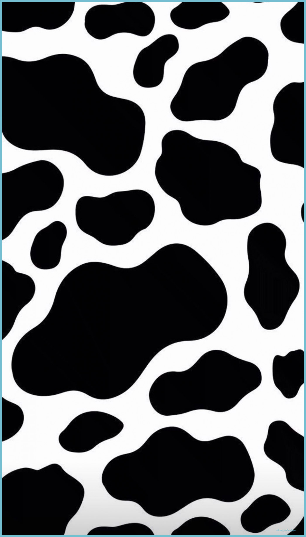 Iphone Cow Wallpapers