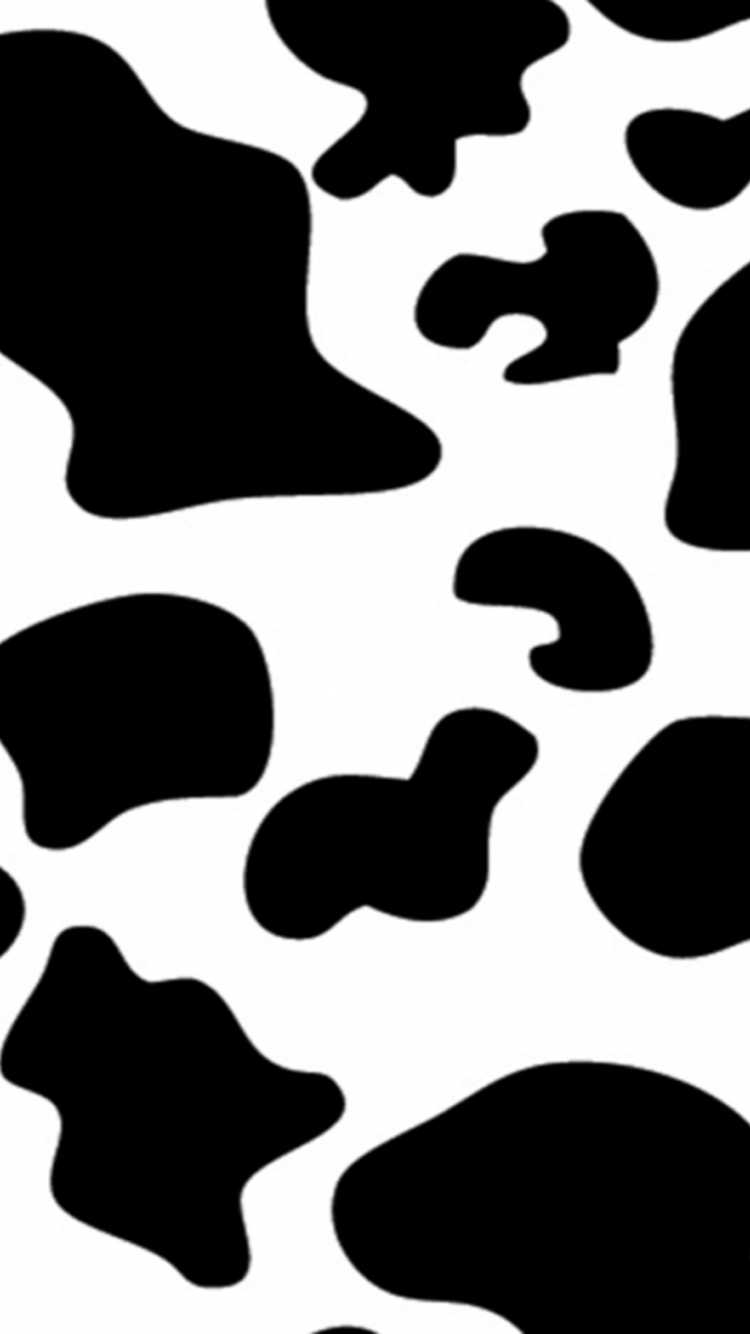 Iphone Cow Wallpapers