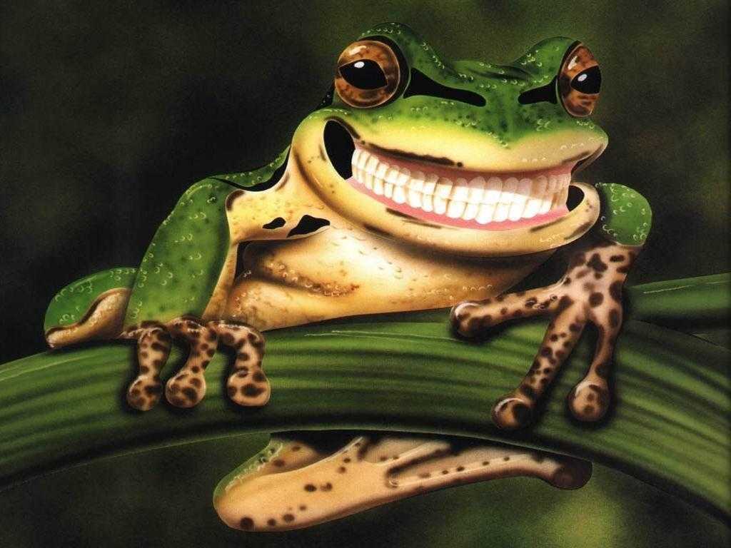 Iphone Cute Frog Wallpapers