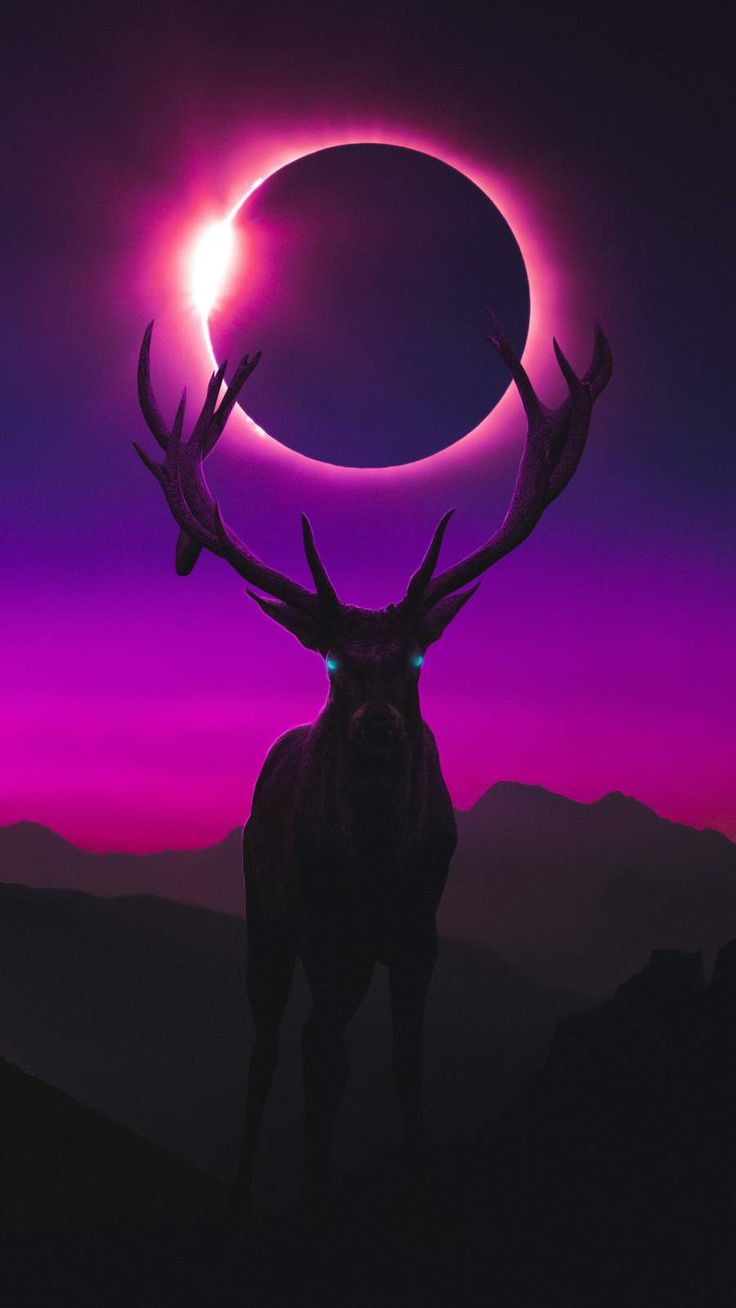 Iphone Deer Wallpapers