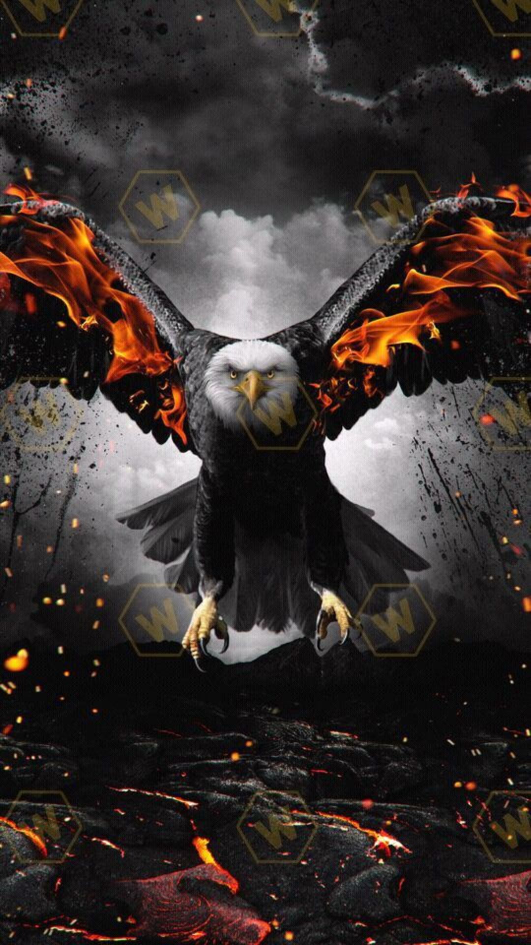 Iphone Eagle Wallpapers