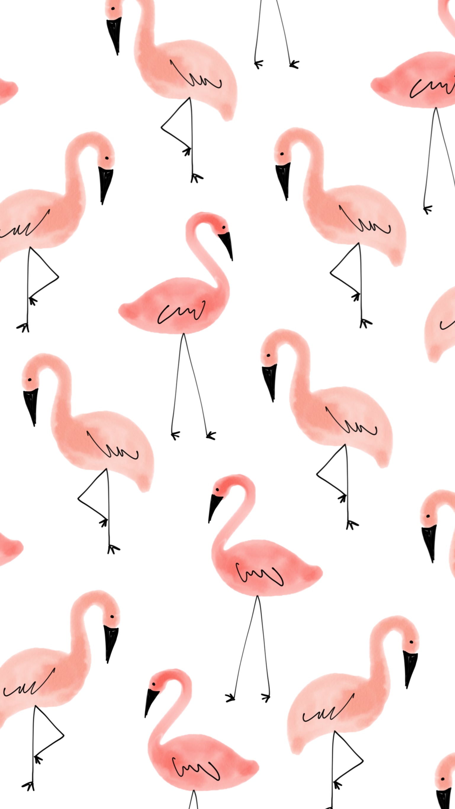 Iphone Flamingo Wallpapers