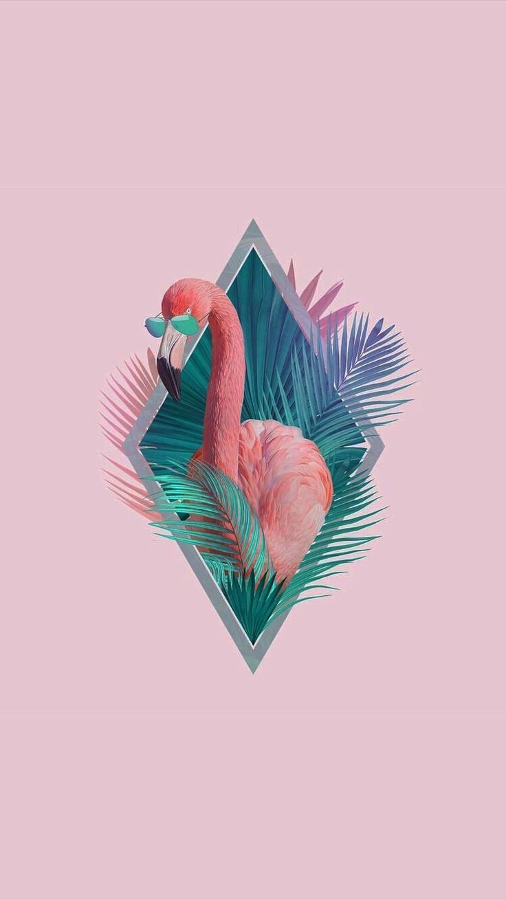 Iphone Flamingo Wallpapers