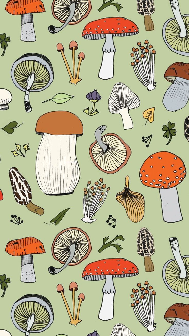 Iphone Mushroom Wallpapers