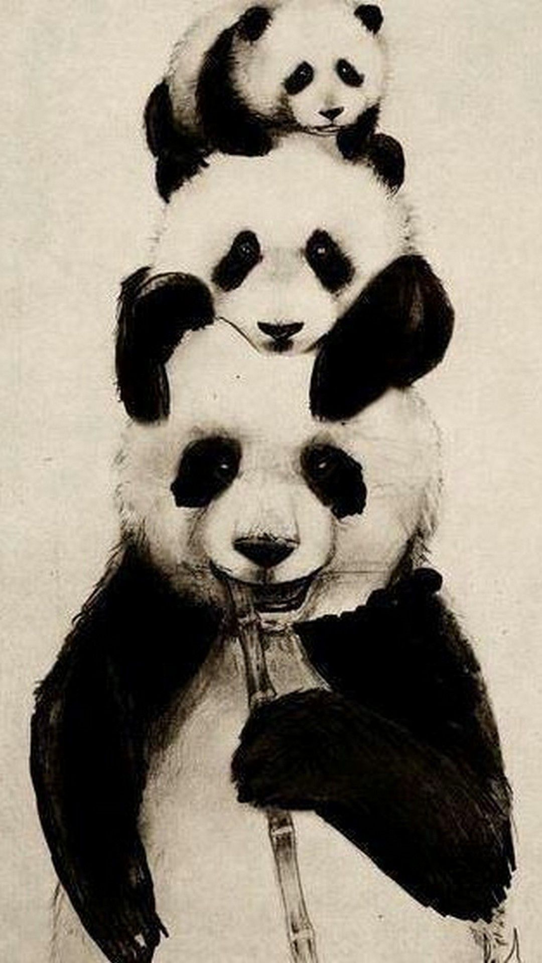 Iphone Panda Wallpapers